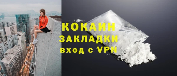 шишки Наволоки