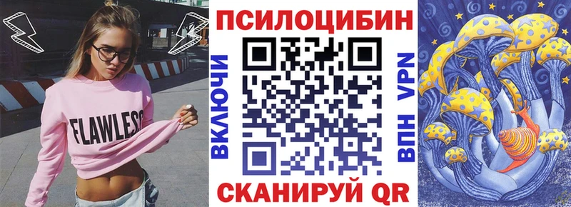 сколько стоит  omg ССЫЛКА  Галлюциногенные грибы Magic Shrooms  Пудож 